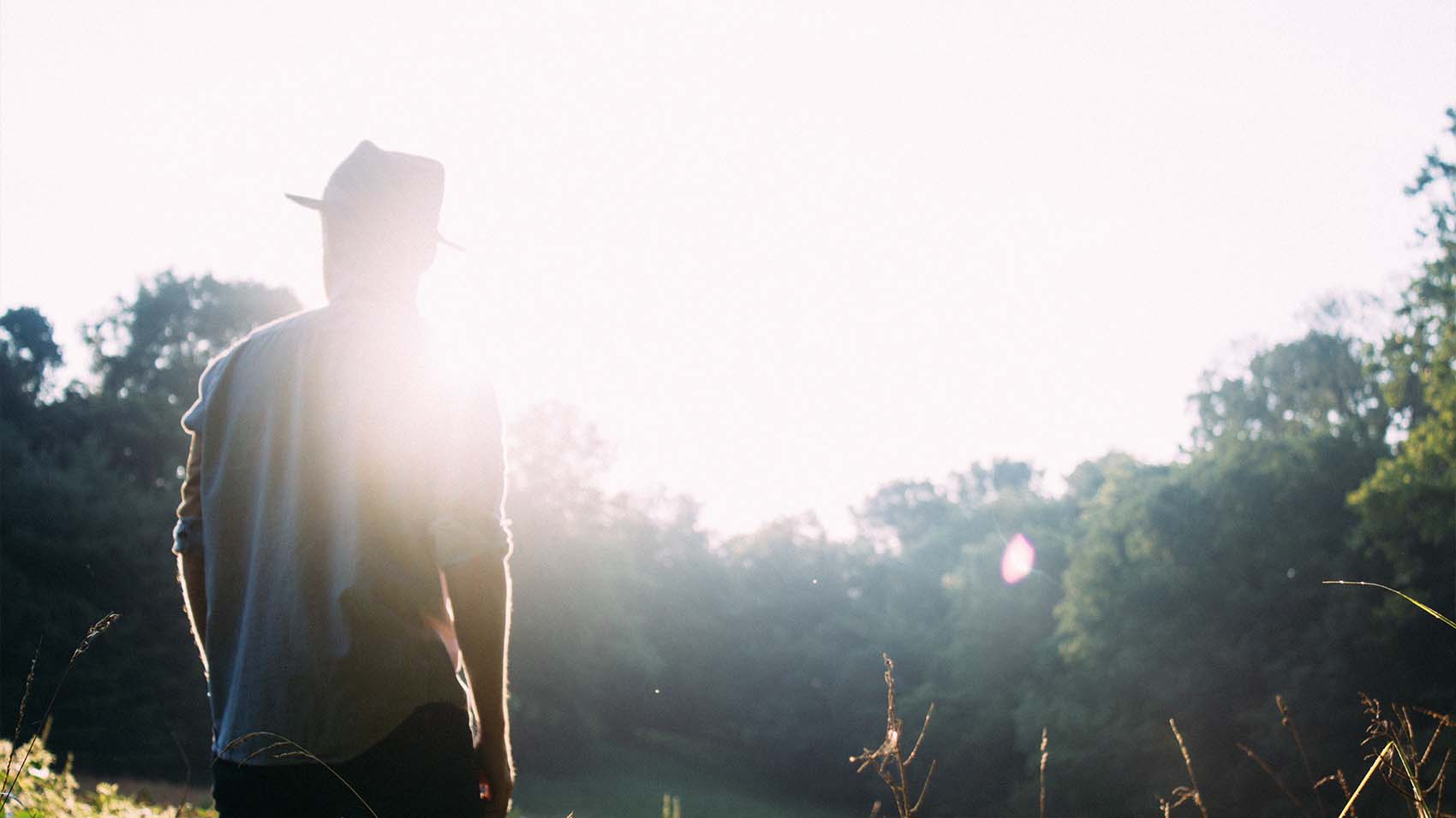 Walking through the Park Walking through the Park